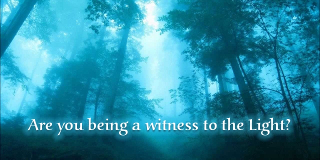 194 witness to light