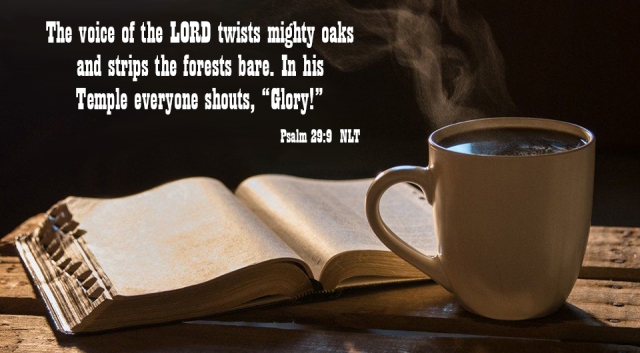 coffee and a psalm 29_9